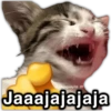@paraguayita 01 Jaaajajajaja