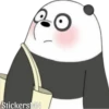 Panda 🐼 21