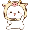 Animales Cute 🤗 15