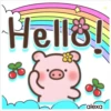 Pig 🐷🐽Chat 23