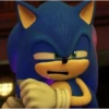 Sonic !! 25