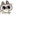 Shiro_Cat_@zigou23 22