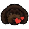 Barley 5