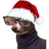Memes de Natal 5 25