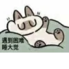Shiro_Cat_@zigou23 23