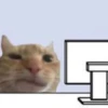 Hehe 29