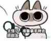 Shiro_Cat_@zigou23 24