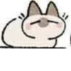Shiro_Cat_@zigou23 25