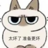 Shiro_Cat_@zigou23 26