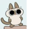 Shiro_Cat_@zigou23 27