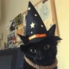 Halloween Animal🎃🔮 13