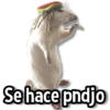 Se hace pndjo
