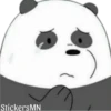 Panda 🐼 24