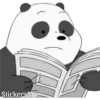Panda 🐼 25