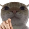 Moods Gatitos 🐱 18
