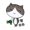 PAnLoVEr3 7