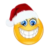 Navidad emojis 🎄😍 14