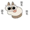 Shiro_Cat_@zigou23 28