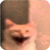 AaYEbbj_by_achestickbot 19