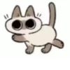 Shiro_Cat_@zigou23 29