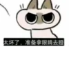 Shiro_Cat_@zigou23 30