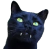 Gatos traviesos😹💞1🇵🇪Clásica 28