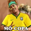 memes copa 🇧🇷 29
