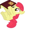 Apple Bloom | 29