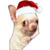 Memes de Natal 5 29