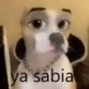 😎 VARIADITO PARA CONTESTAR 😜 15