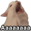 @paraguayita 01 Aaaaaaaa
