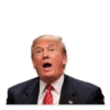 Donald Trump’d 6