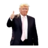 Donald Trump’d 7