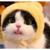 Michi's face😻💜 5