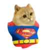 Cat Coin Cash💛😻🧡 6