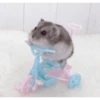 Hamster Gemoy 6