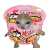 Корм для кошек 🍅🥬🍄🥒🥦 5