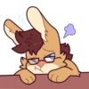Niko Bunny 7