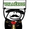 Flork💚🤍❤️Viva México 10