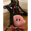 kirby! 9