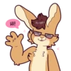 Niko Bunny 10
