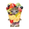 Корм для кошек 🍅🥬🍄🥒🥦 6