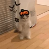Halloween Mood 🎃 7