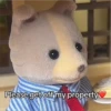 Sylvanian Drama 2 8