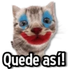 Quede así!
