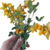 Flores Amarillas🌻ramos 8