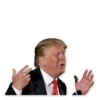 Donald Trump’d 13