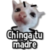 Chinga tu madre