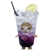 Корм для кошек 🍅🥬🍄🥒🥦 13
