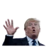Donald Trump’d 15